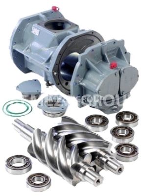 Ремкомплект тефлоновых уплотнений SCA9/10/12 GR2 Termomeccanica 914403001 Ремкомплект тефлоновых уплотнений SCA9/10/12 GR2 Termomeccanica 914403001 фото