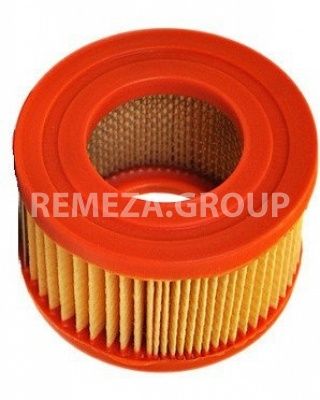 Патрон фильтра воздушного Remeza 4093100100 Патрон фильтра воздушного Remeza 4093100100 фото